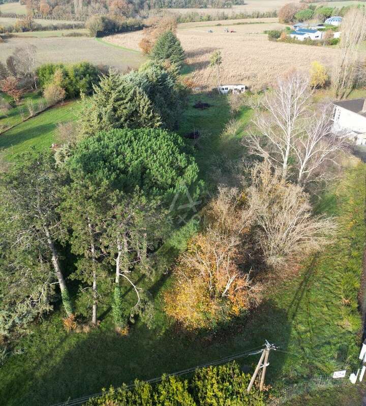 Terrain à MIGNALOUX-BEAUVOIR