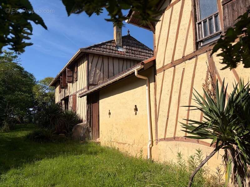 Nogaro(32) 7 km, ANCIENNE METAIRIE GASCONNE 280m2 dont 160m2 habtiables sur 4.5ha, au bout d'un long chemin, CACHEE, SANS VIS A  - photo 33