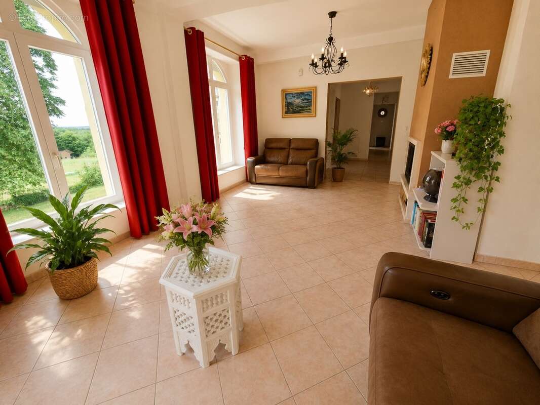 Propriete à vendre 9 pièces MIRECOURT (88) PROPRIÉTÉ D'EXCEPTION avec PISCINE sur TERRAIN clos et arboré de + de 6.500 m2 - photo 25