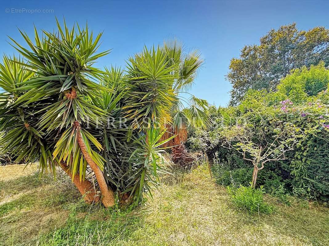 Vente Appartement 4 Pièces, 95 m2 avec 390 m2 de Terrasse et Jardin, Garage - Quartier La Plage - Marseille 8 - photo 23