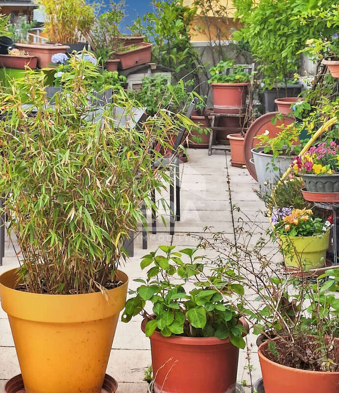 Appartement à MONTREUIL