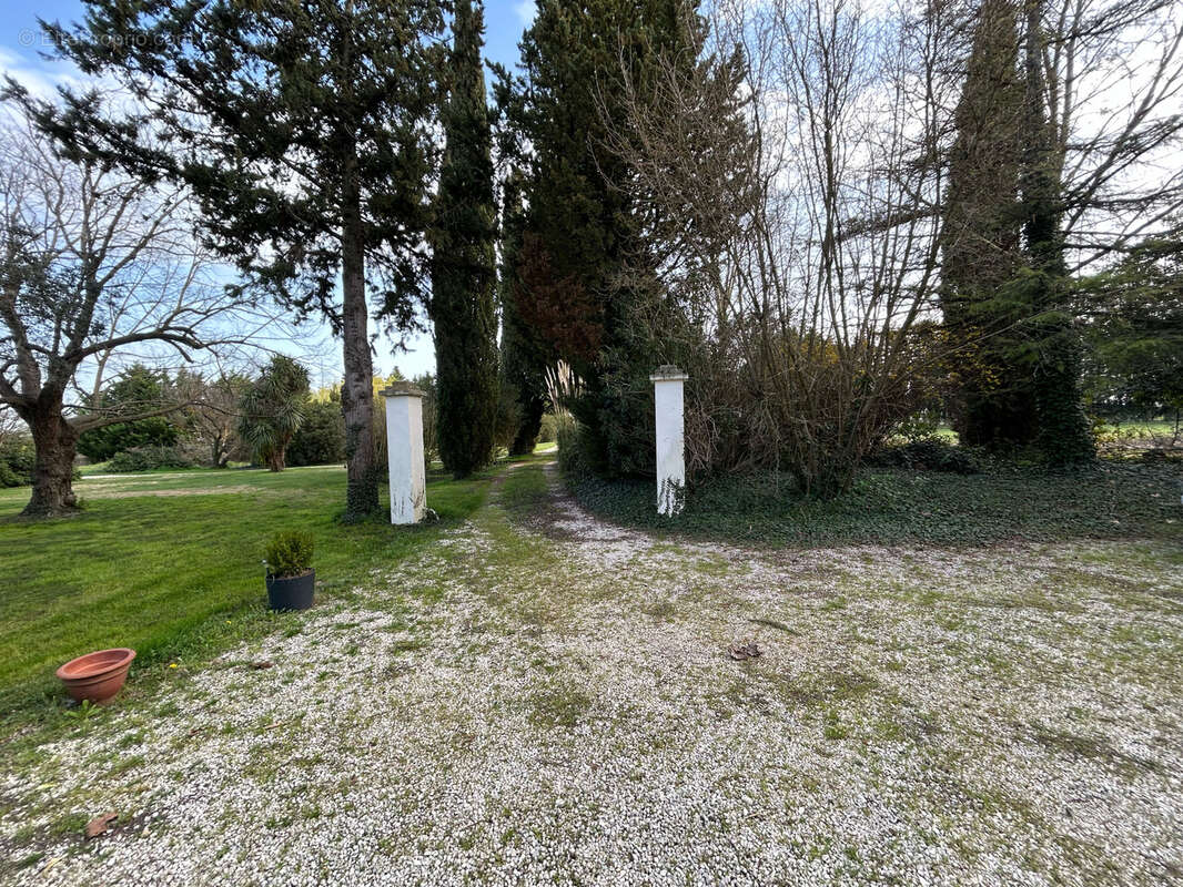 Maison à PERNES-LES-FONTAINES