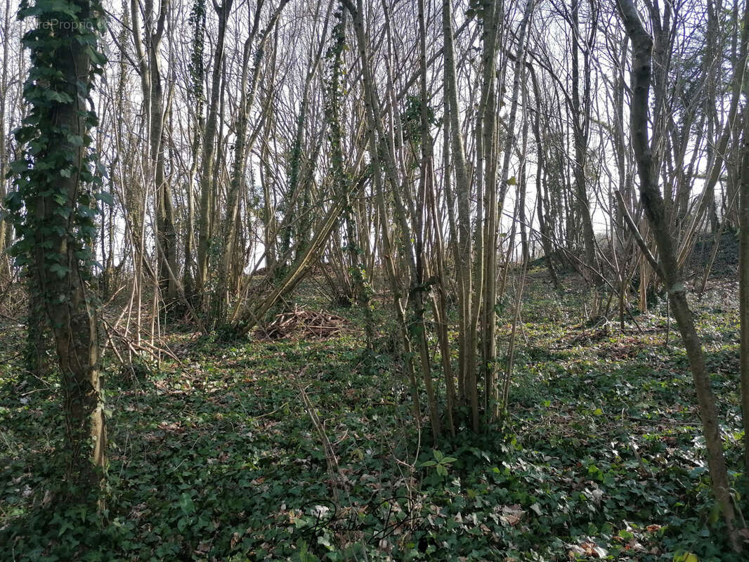 Terrain à VILLERS-SAINT-SEPULCRE