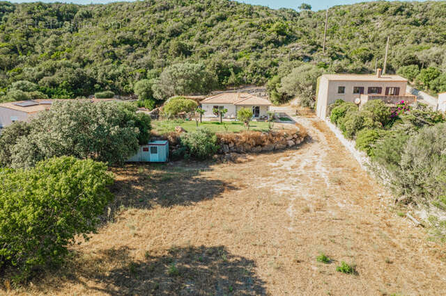 Maison avec terrain constructible de 4 260 m2 et permis accordé   Bonifacio, Vallée Saint-Julien - photo 16