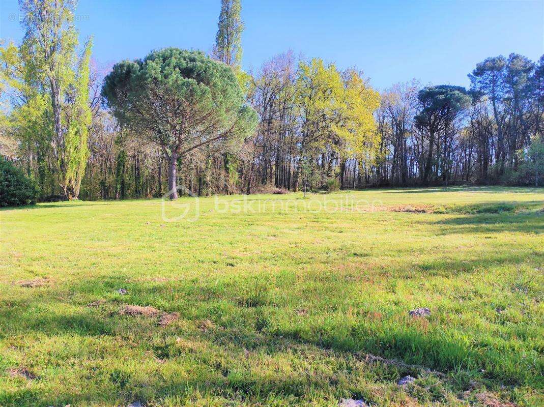 Maison à CASTELJALOUX