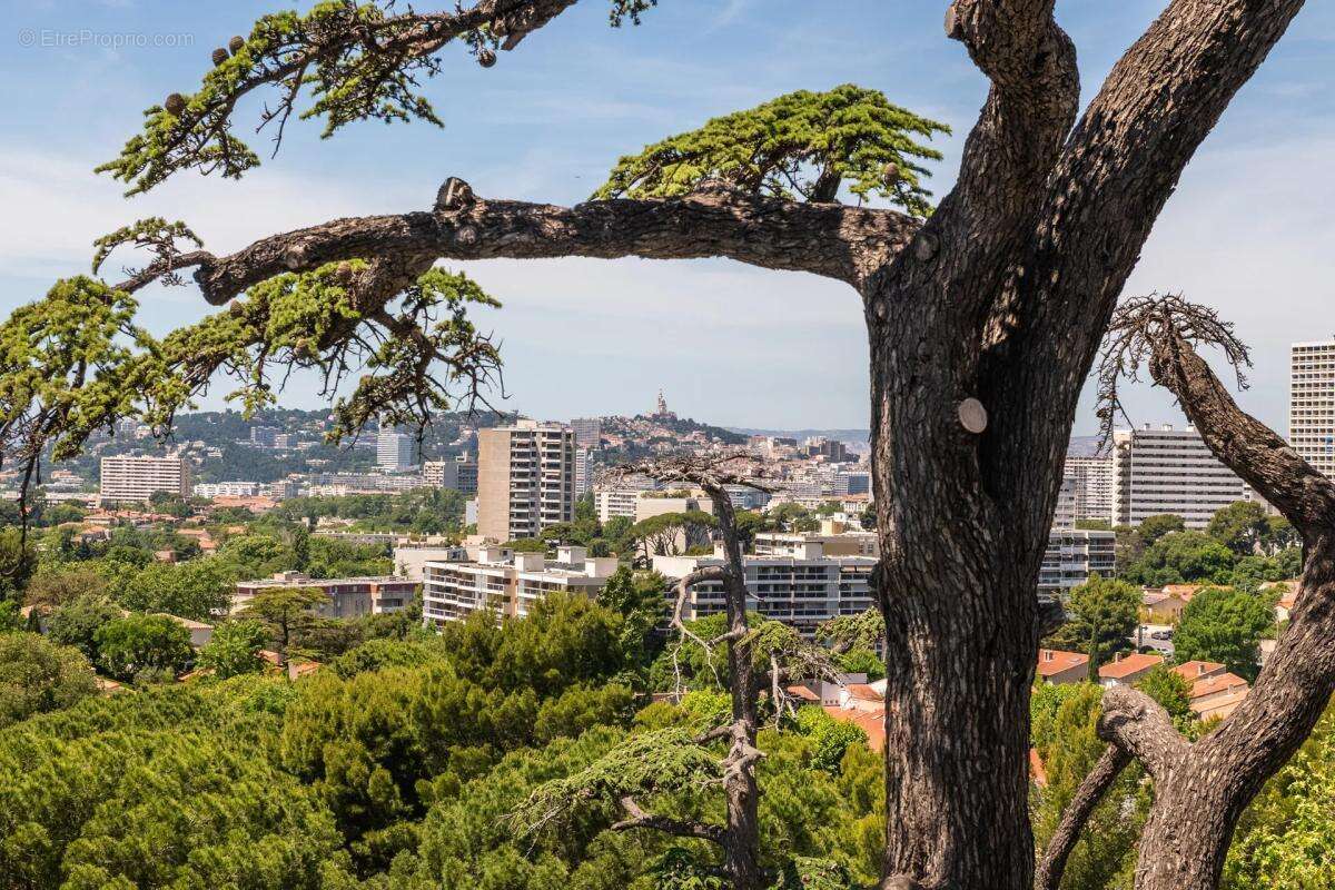 Appartement à MARSEILLE-9E