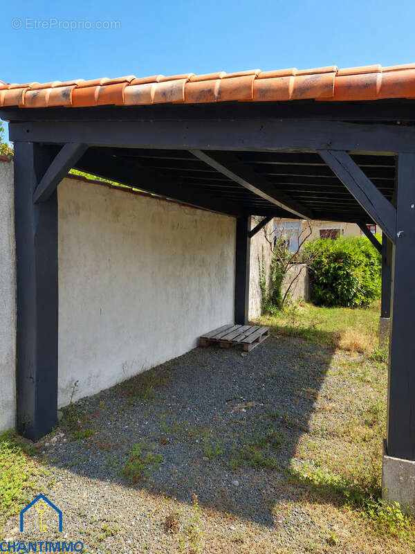 Rare a sainte hermine - photo 17