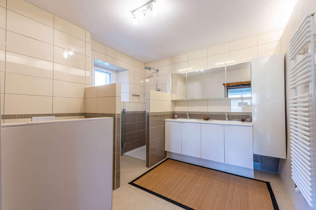 Maison à MENTHONNEX-EN-BORNES