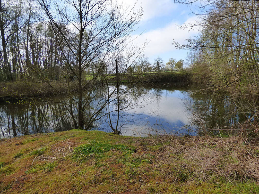 Terrain à SAINT-TRIVIER-DE-COURTES