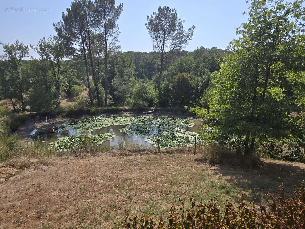 Un véritable havre de paix sur plus de 4 hectares! - photo 22