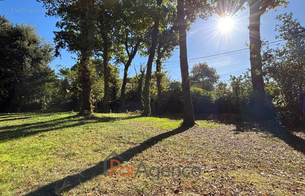 Terrain à SAINT-GEORGES-DE-DIDONNE