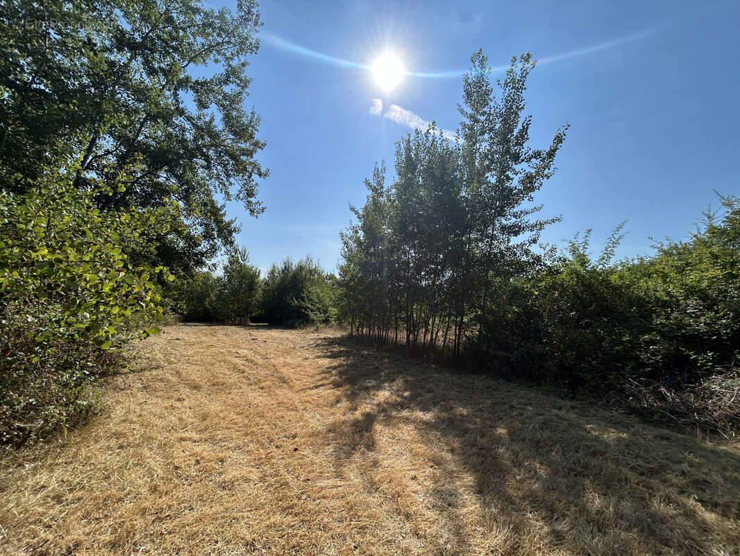 Propriété 3,7 ha : maison ancienne rénovée, mare, friche, bois, prairie - photo 21