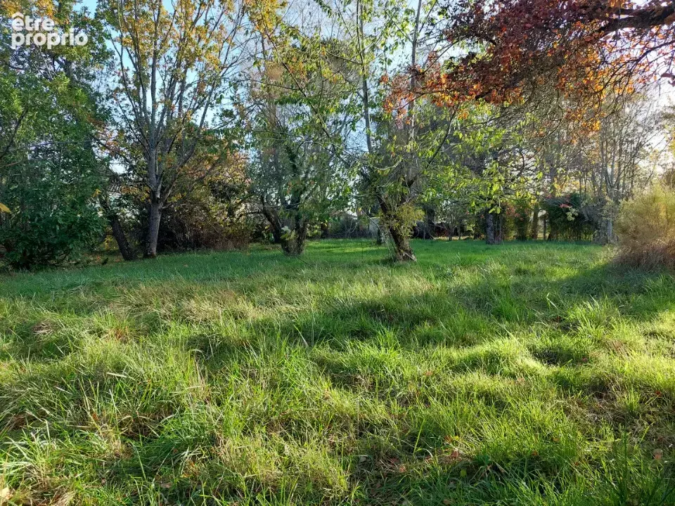 Terrain 450 m² à vendre à Saint-Jean (31240) - photo 4