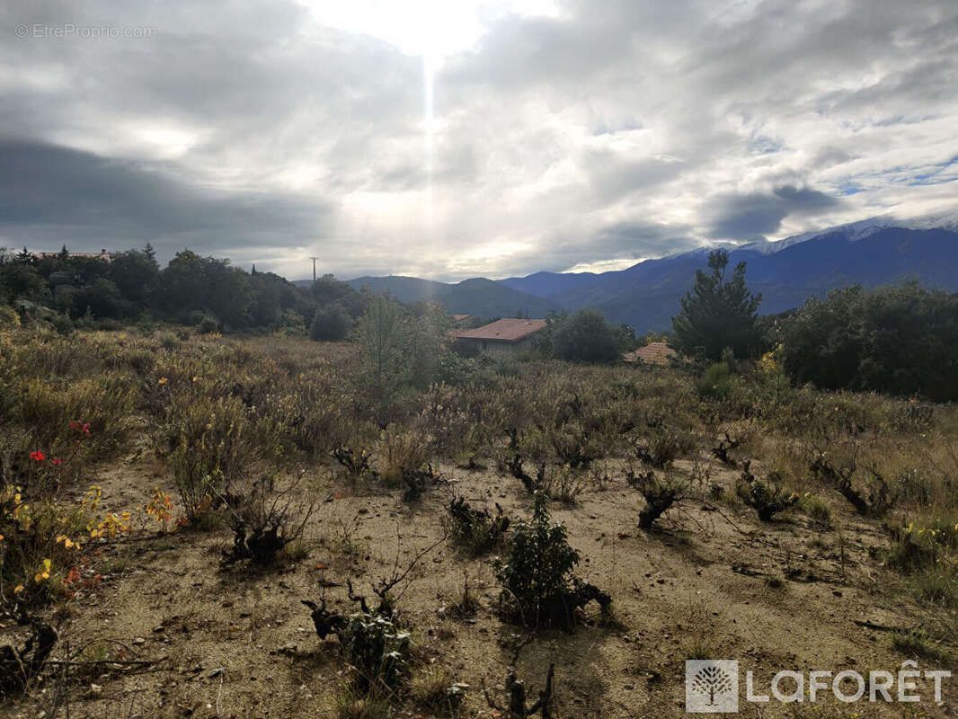 Terrain à ARBOUSSOLS