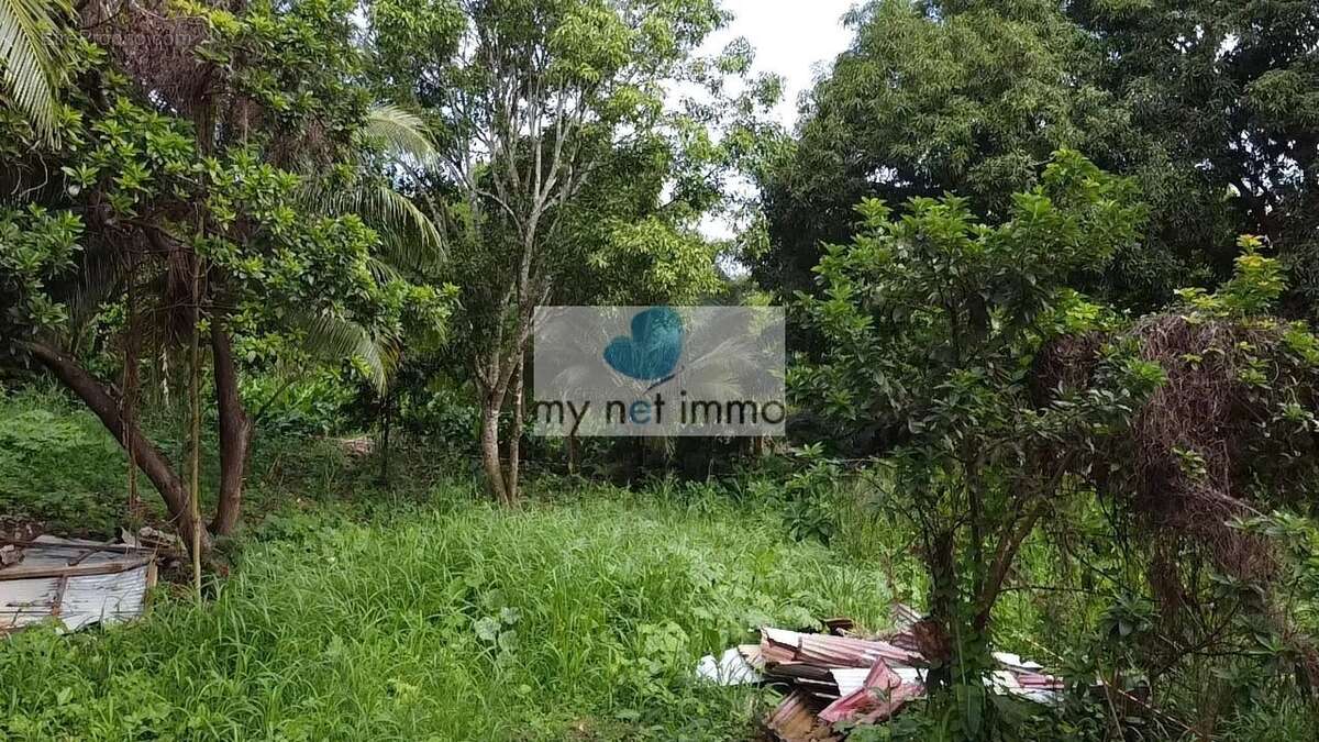 Terrain à SAINTE-ANNE