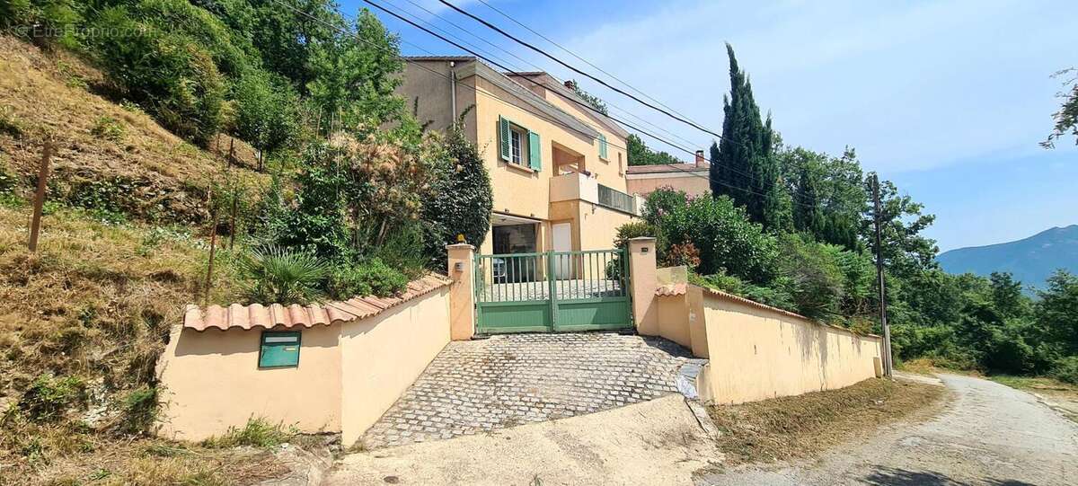 Maison à VENACO