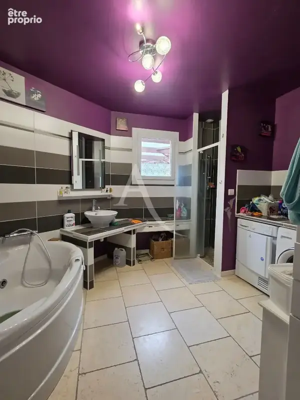 Maison d'architecte à vendre à saint julien sur cher - photo 15