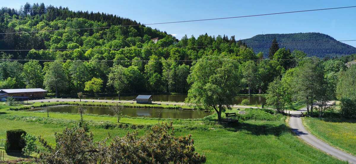 Colroy-La-Roche, maison de caractère des années 1930 sur un terrain de 26 ares - photo 22