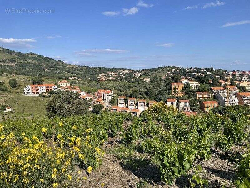 Terrain à COLLIOURE