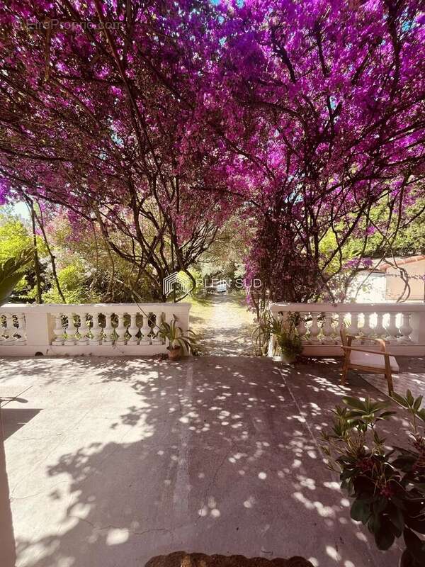 Maison à CANNES