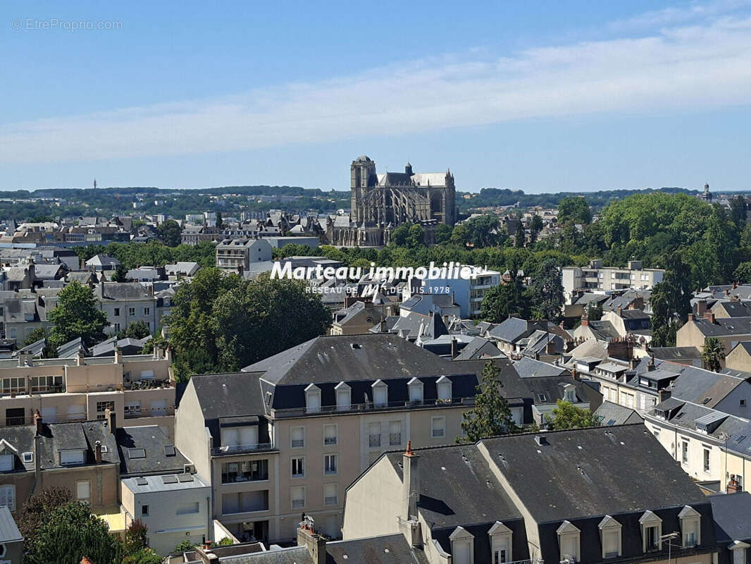 Appartement Le Mans 7 pièce(s) 172 m² - photo 8