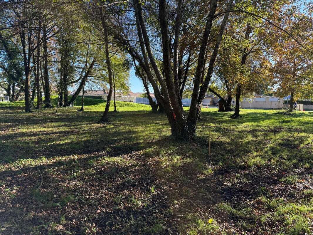 Photo 2 - Terrain à AUDENGE