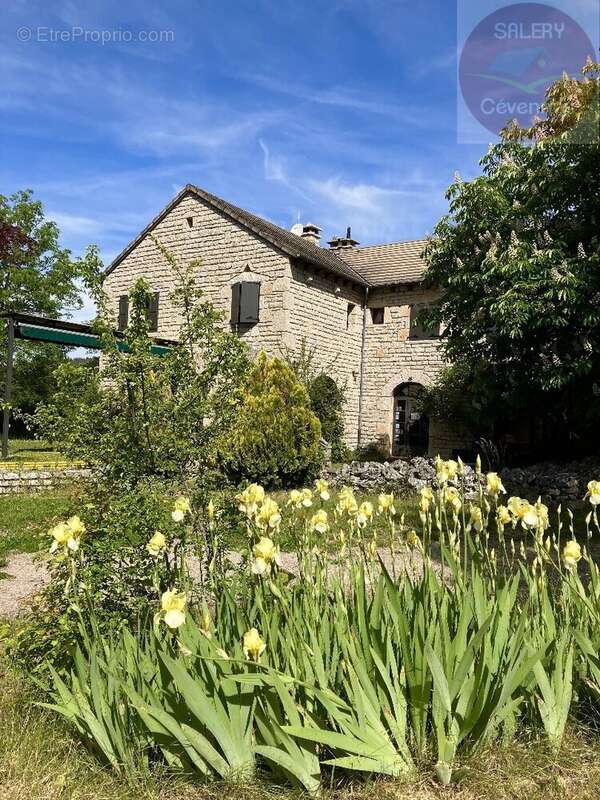 Maison à MAS-SAINT-CHELY