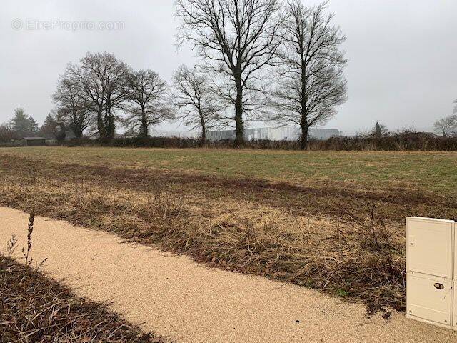 Terrain à NAUCELLES