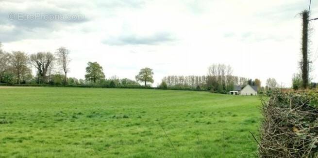 Terrain à RUISSEAUVILLE