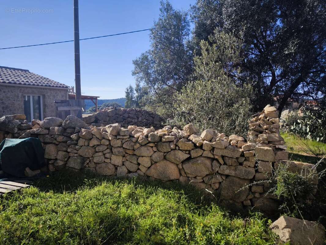 Terrain à MONACIA-D&#039;AULLENE