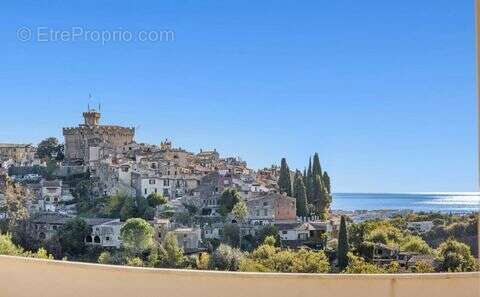 Maison 436 m² à Cagnes-Sur-Mer  - photo 3
