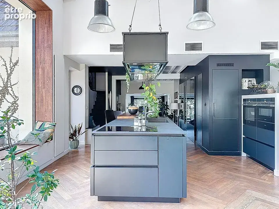 Crépieux limite Caluire belle maison familiale au calme absolu - photo 8