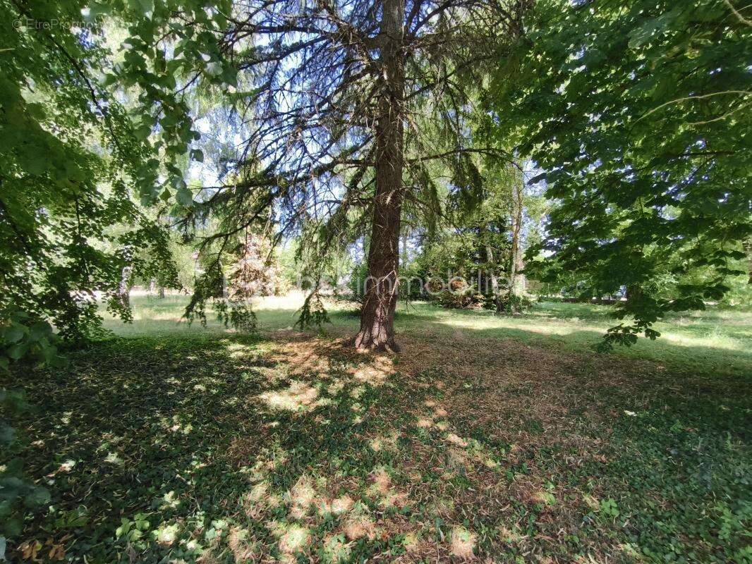 Terrain 4330 m² à Saint-Gondon  - photo 6