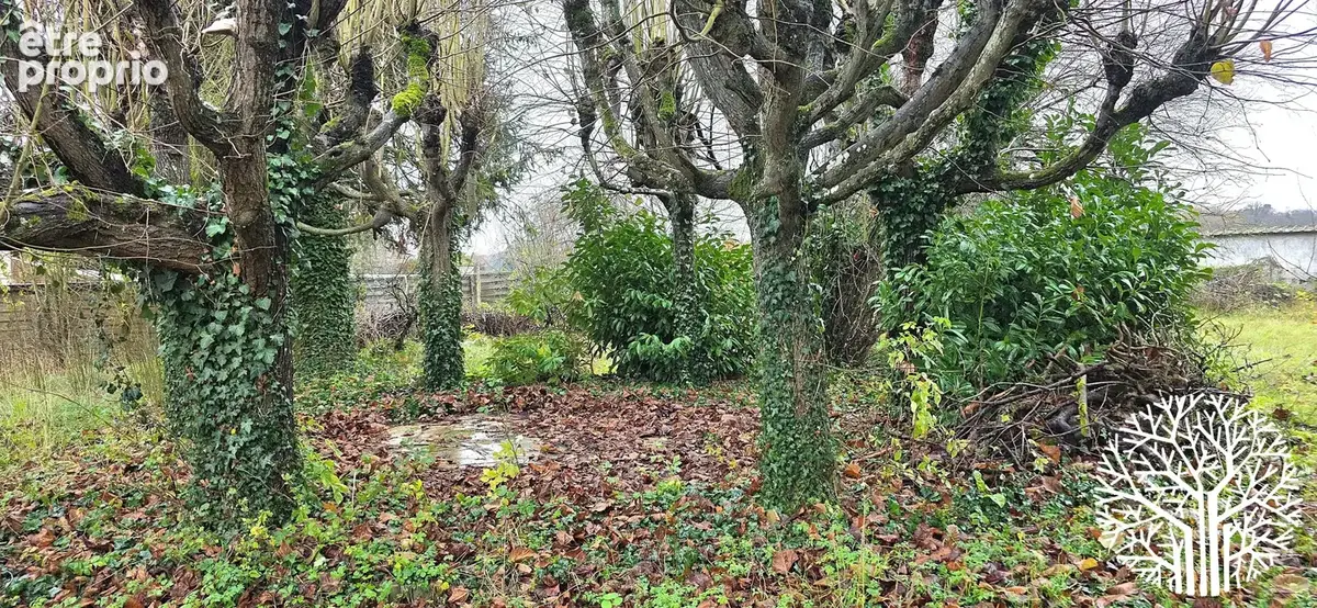Maison  avec fort potentiel et terrain divisible - photo 4