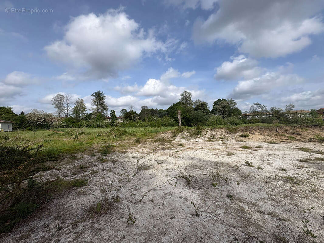 Terrain à RION-DES-LANDES
