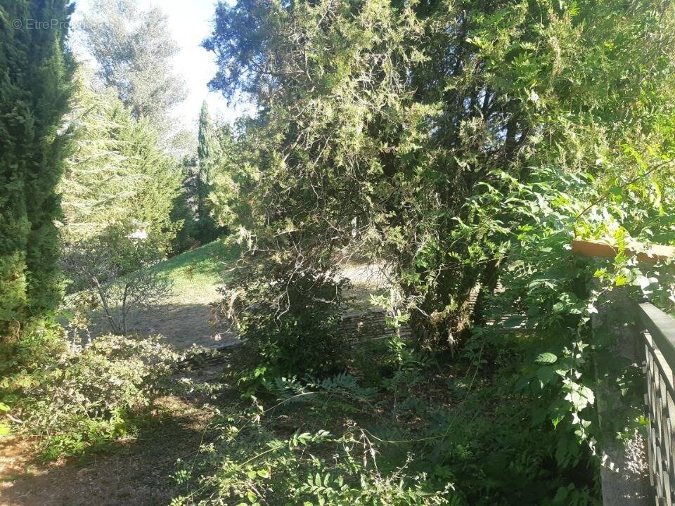Terrain à MONTRABE