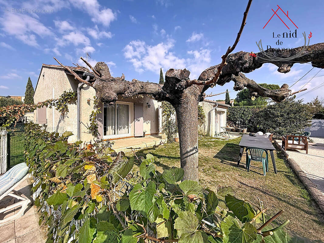 Maison à PERNES-LES-FONTAINES