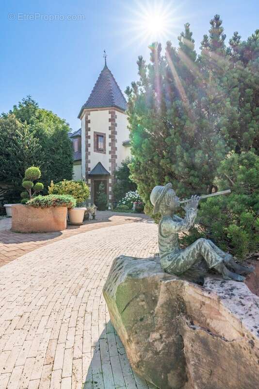 Maison 357 m² à Haguenau  - photo 4