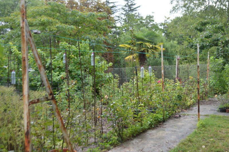 Maison à MORTAGNE-SUR-GIRONDE