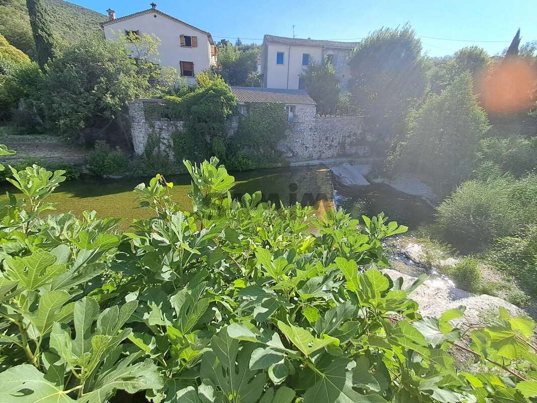 À vendre à Saint-Hippolyte-Du-Fort : maison de village avec - photo 5