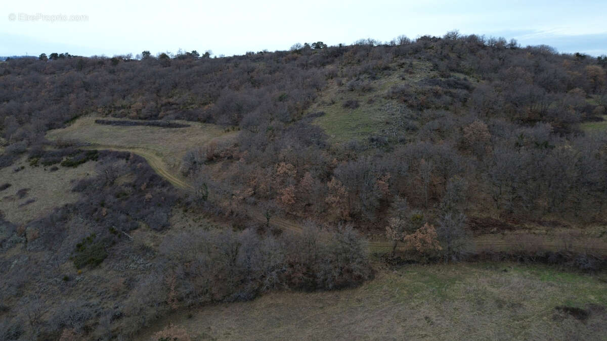 Terrain à AURIAC-L'EGLISE