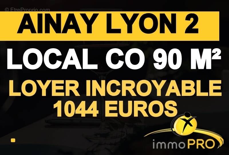 Commerce à LYON-2E