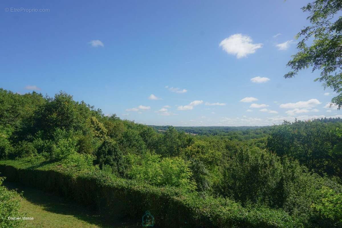 Ancienne maison forte du XIIIe siècle, au coeur du parc naturel régional du Périgord vert. - photo 15