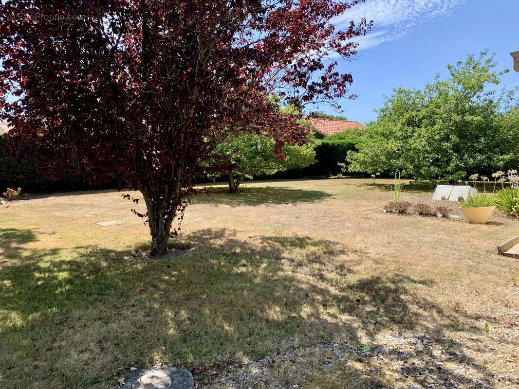 Maison à SAINT-BREVIN-LES-PINS