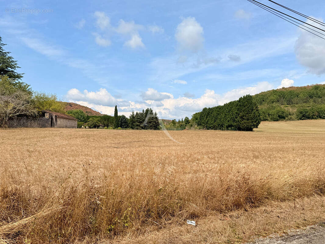 Terrain Castelfranc - photo 4