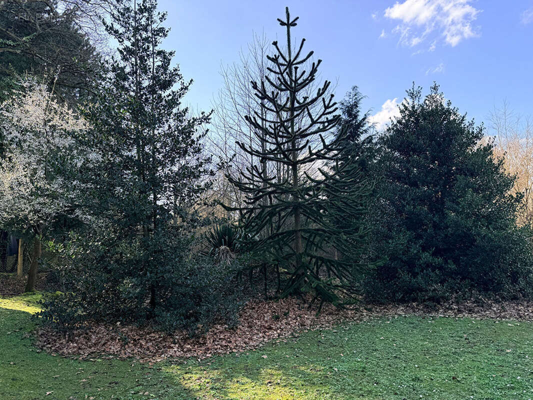 Terrain à COMBOURG