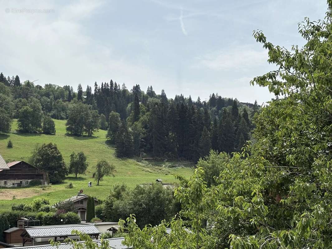 T3 Megève- Demi-Quartier - photo 2
