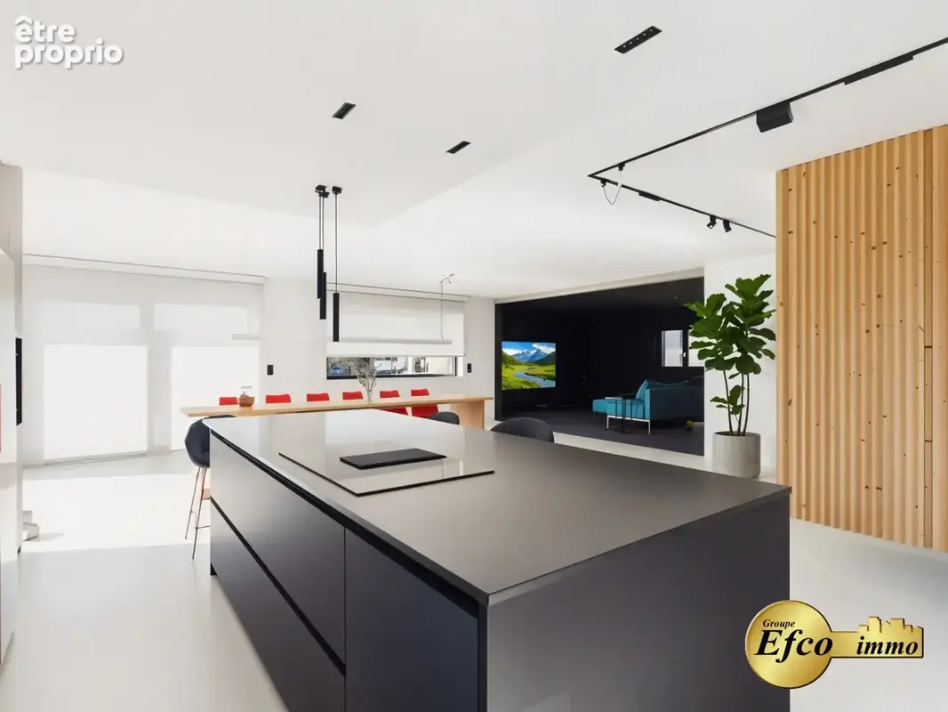Maison 6 pièces 192 m² à vendre à Blodelsheim (68740) - photo 2