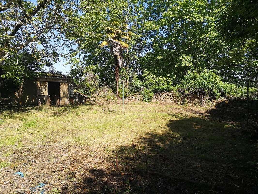 IMG20250514115445 - Maison à BASSOUES