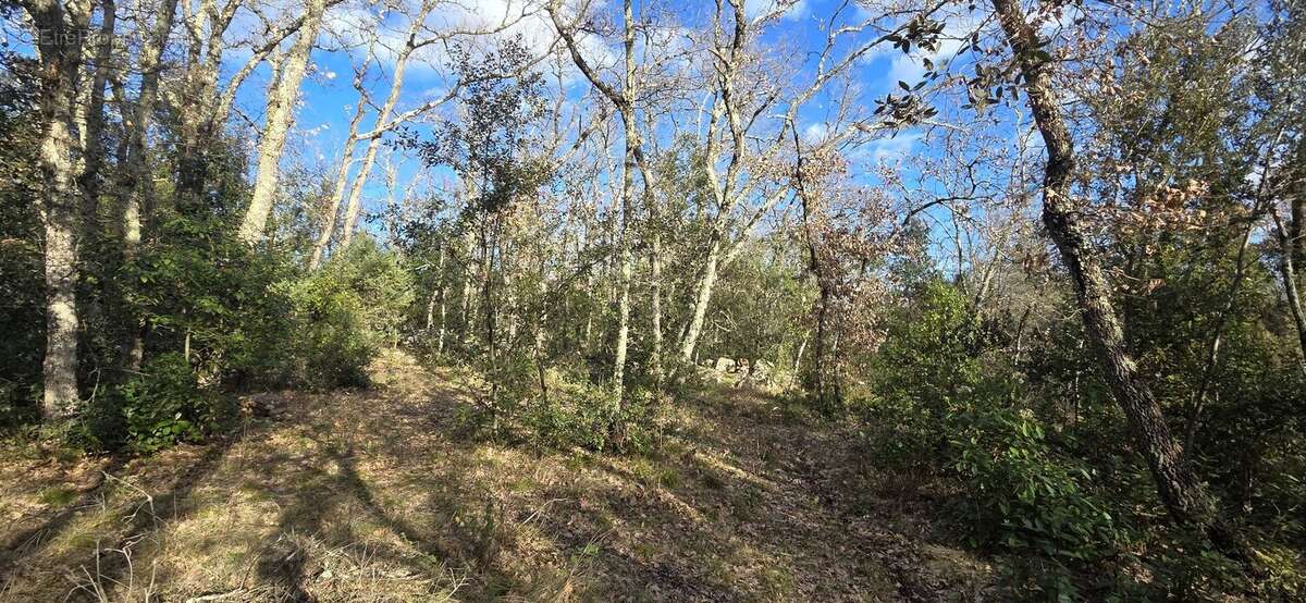 Terrain à SAINT-QUENTIN-LA-POTERIE